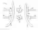 Fig. 01 - Manufacturing process for packaged pet food