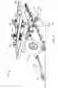 Fig. 06 - Selectively eradicating plants