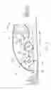 Fig. 09 - Rake positioned between a flail rotor and an auger