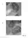 Fig. 08 - DEVICE AND METHOD FOR PRESSURIZED CRYOPRESERVATION OF A BIOLOGICAL SAMPLE