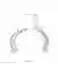Fig. 09 - Ring protection device