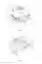 Fig. 06 - Docking apparatus