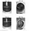 Fig. 02 - Plant-based compositions and uses thereof