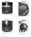 Fig. 03 - Plant-based compositions and uses thereof