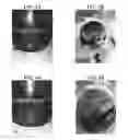 Fig. 04 - Plant-based compositions and uses thereof
