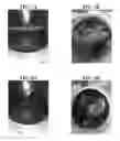 Fig. 05 - Plant-based compositions and uses thereof