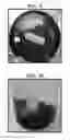 Fig. 06 - Plant-based compositions and uses thereof