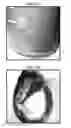 Fig. 08 - Plant-based compositions and uses thereof