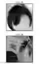 Fig. 10 - Plant-based compositions and uses thereof