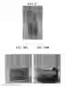 Fig. 19 - Plant-based compositions and uses thereof