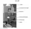 Fig. 20 - Plant-based compositions and uses thereof