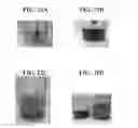 Fig. 22 - Plant-based compositions and uses thereof