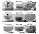 Fig. 24 - Plant-based compositions and uses thereof