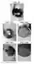 Fig. 26 - Plant-based compositions and uses thereof