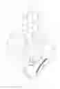 Fig. 07 - Toolpack for vertical bodymaker