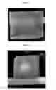 Fig. 02 - PHANTOM, ULTRASOUND SYSTEM INCLUDING THE SAME, AND METHOD OF MANUFACTURING THE PHANTOM