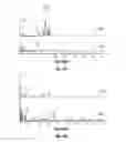 Fig. 08 - METHOD TO PERFORM RAPID FORMATION FLUID ANALYSIS