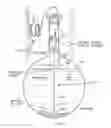 Fig. 01 - Magnetostrictive transducer