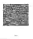 Fig. 07 - Adaptive data collection for local states of a material