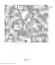Fig. 09 - Adaptive data collection for local states of a material