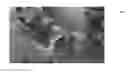 Fig. 01 - Frequency response of vibration sensors