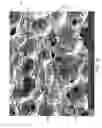 Fig. 05 - Composite material used as a strain gauge