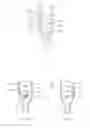 Fig. 05 - Transparent Liquid Suction Measuring Device