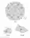 Fig. 06 - STOP TEETH FOR A PINION AND INPUT SHAFT ASSEMBLY