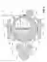 Fig. 04 - Continuously variable transmission having a periodic displacement waveform with a constant velocity portion