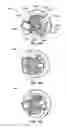 Fig. 09 - Rotary actuation mechanism