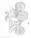 Fig. 02 - ADJUSTABLE HAND LEVER FOR VEHICLE CONTROL