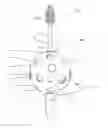 Fig. 01 - Handgrip for a dental device
