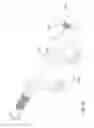 Fig. 13 - TOOTH FOR CIRCULAR SAW OR MOWER DRUM