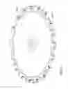 Fig. 14 - TOOTH FOR CIRCULAR SAW OR MOWER DRUM