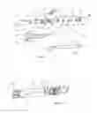 Fig. 02 - Stabilized musical horn instrument