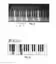 Fig. 03 - Musical Note Learning System