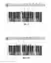 Fig. 06 - Musical Note Learning System