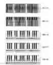 Fig. 30 - Musical Note Learning System