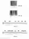 Fig. 33 - Musical Note Learning System