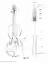 Fig. 10 - Music instruction apparatus