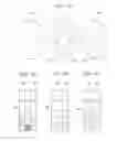 Fig. 09 - Electronic percussion instrument