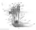 Fig. 01 - Actuation system for a joint