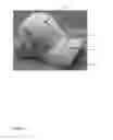 Fig. 06 - Method for printing an image on the under peak of a baseball cap and baseball cap