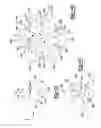 Fig. 04 - Generant grain assembly formed of multiple symmetric pieces