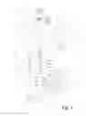 Fig. 02 - NEEDLE ASSEMBLY FOR TUFTING MACHINES