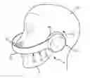 Fig. 01 - PATIENT INTERFACE THAT ENGAES THE SIDES OF THE HEAD