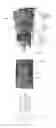 Fig. 04 - Apparatus and method for collecting powder generated during film deposition process