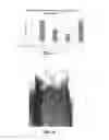 Fig. 07 - Method and apparatus for treating a steel article