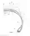 Fig. 02 - Pneumatic tire with improved crown durability