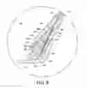 Fig. 10 - Pneumatic tire with bead reinforcing elements at least partially formed from carbon fibers
